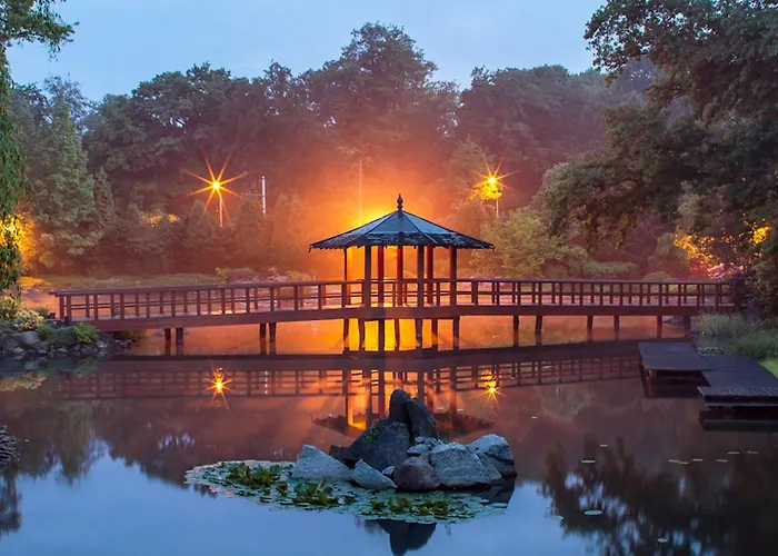 Tanuki * Вроцлав