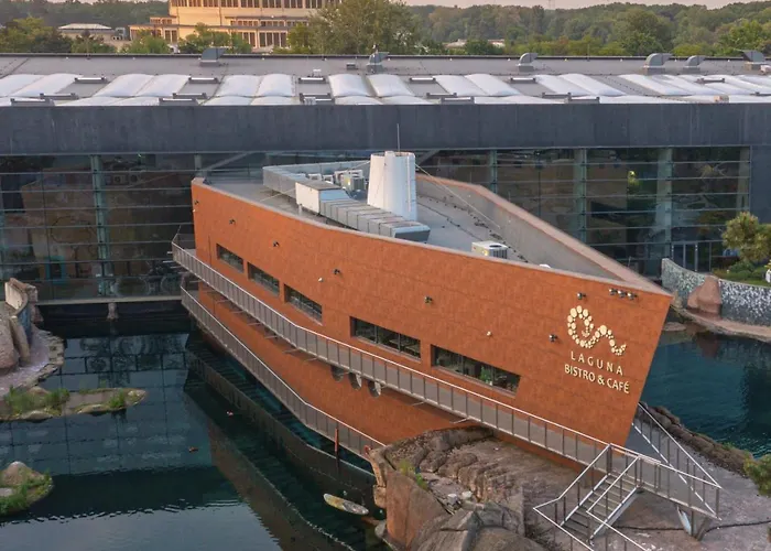 Tanuki Апартаменти *